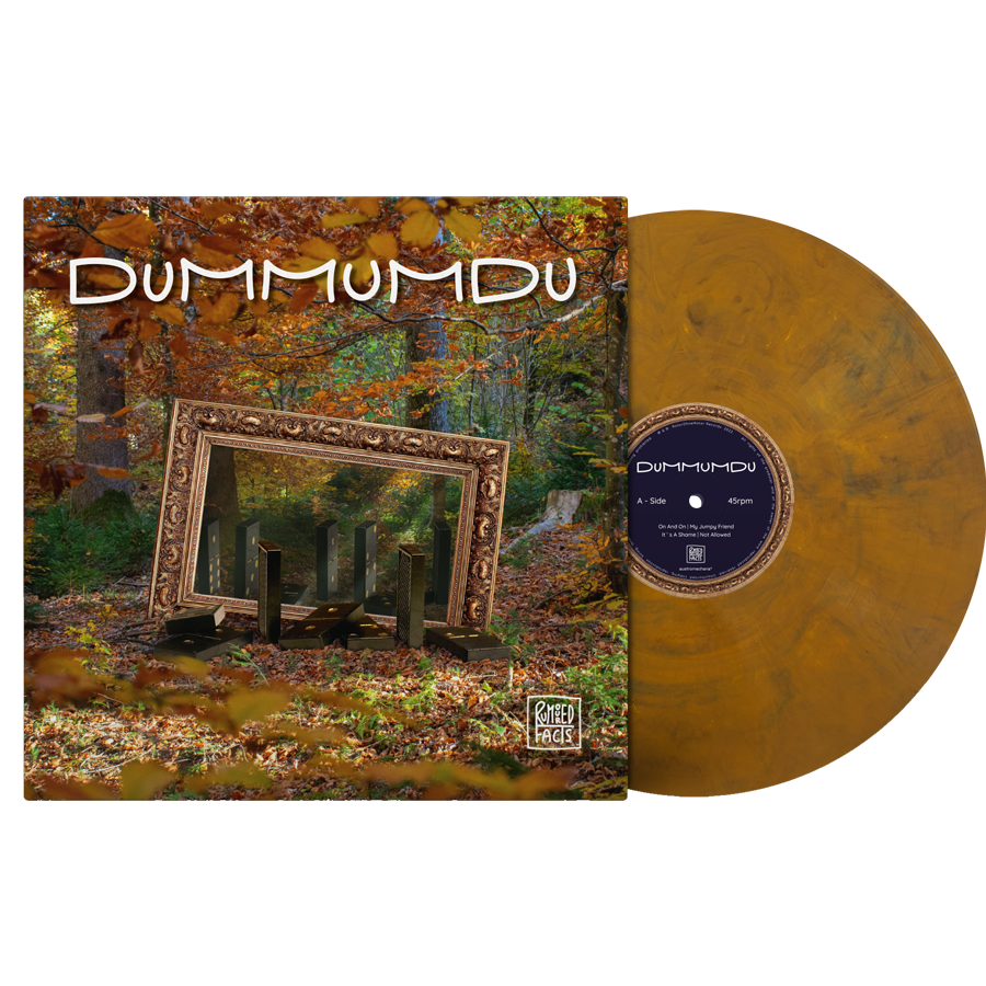 Rumoured Facts - Dummumdu als Vinyl im monotonus shop