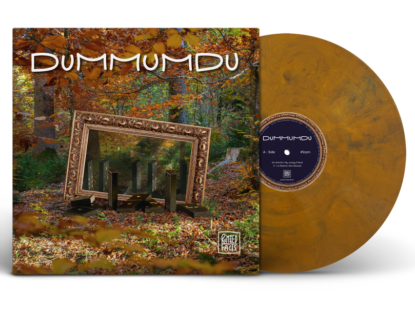 Rumoured Facts - Dummumdu Vinyl