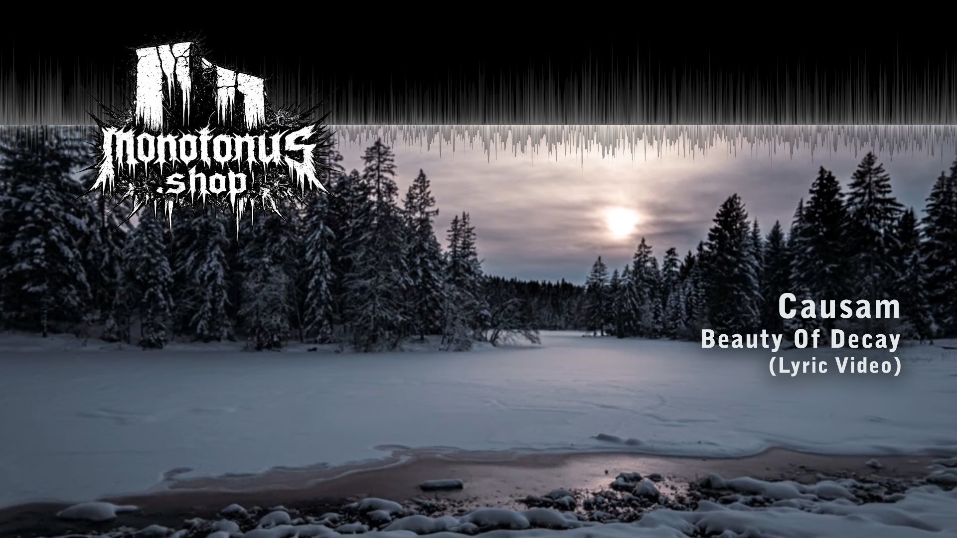 Causam - Beauty Of Decay (Lyric Video)